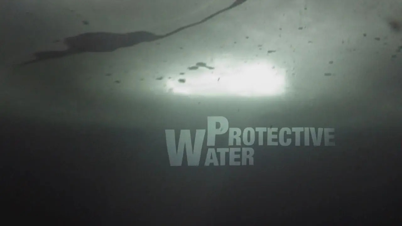 Water Life: Episode 10 - Protective Water / Mundos de agua / Водная жизнь. Серия 10 - Вода-защитница (2008)
