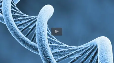DNA the Secret of Life - James Watson