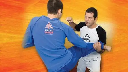 Brazilian Jiu-Jitsu Techniques Vol. 7 - Self Defense