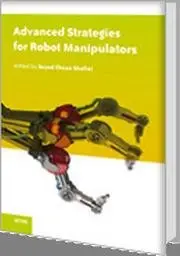 Advanced Strategies for Robot Manipulators