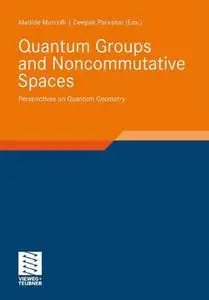 Quantum Groups and Noncommutative Spaces (Aspects of Mathematics)