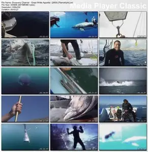 Discovery Channel - Great White Appetite  (2009)