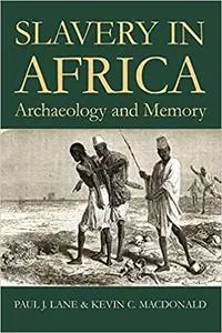 Slavery in Africa : Archaeology and Memory