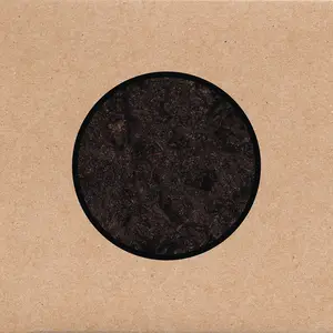 Swans - Birthing (2025)