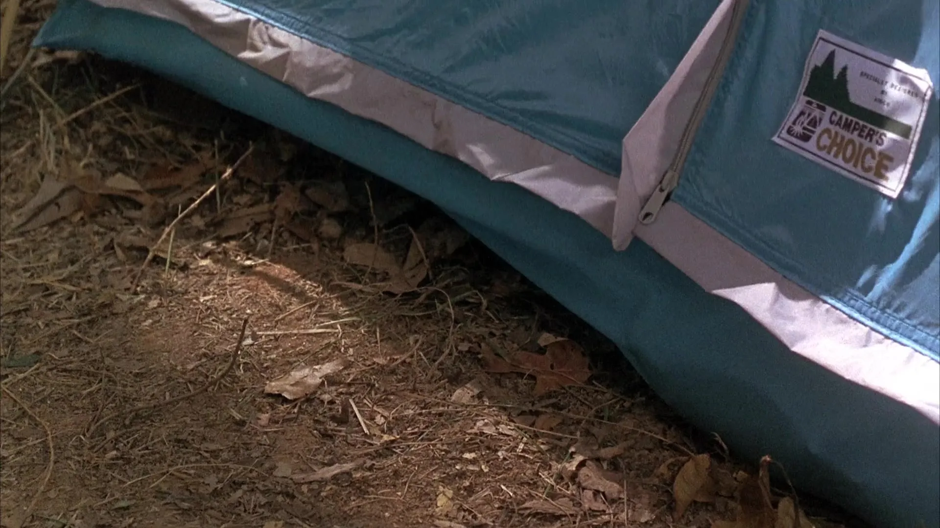 Sleepaway Camp III: Teenage Wasteland (1989)
