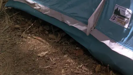 Sleepaway Camp III: Teenage Wasteland (1989)