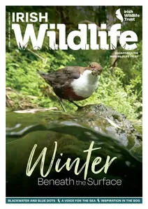 Irish Wildlife Magazine - Winter 2025-2026