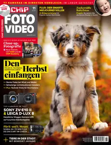 Chip Foto Video Germany - November 2024