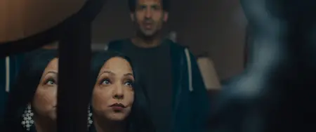 Shook (2024)