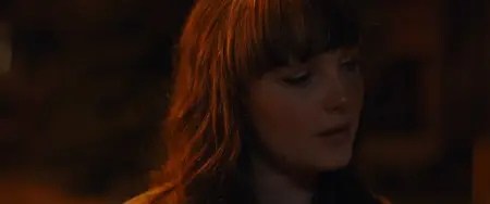 Shook (2024)