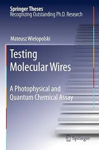 Testing Molecular Wires: A Photophysical and Quantum Chemical Assay