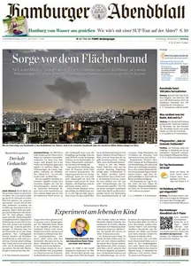 Hamburger Abendblatt - 14 Juni 2025