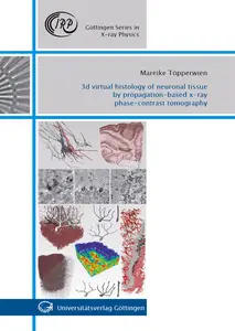 3D Virtual histology of neuronal tissue by propagation-based x-ray phase-contrast tomography