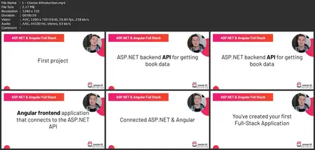 Learn C# Full Stack Development With Angular And Asp.Net