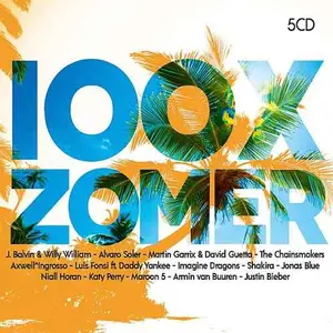 VA - 100x Zomer 2018 [5CD Box Set] (2018) Lossless