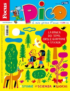 Focus Pico - Agosto 2025