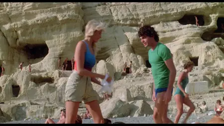 Summer Lovers (1982)