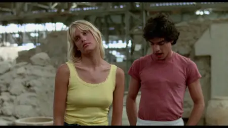 Summer Lovers (1982)