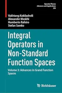 Integral Operators in Non-Standard Function Spaces: Volume 3