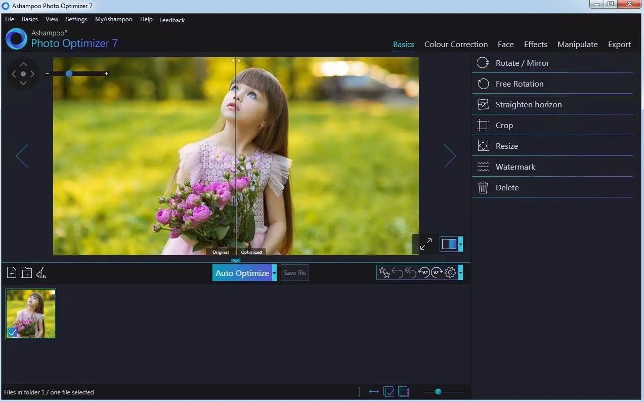ashampoo photo optimizer portable