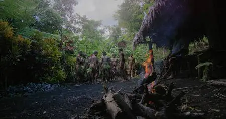 Into the Inferno (2016)