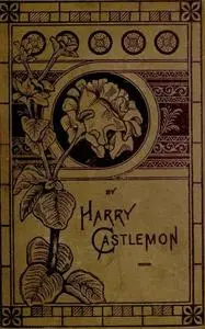 «Don Gordon's Shooting-Box» by Harry Castlemon