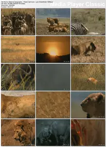 National Geographic's Planet Carnivore: Lion (2007)