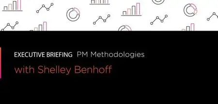PM Methodologies: Executive Briefing