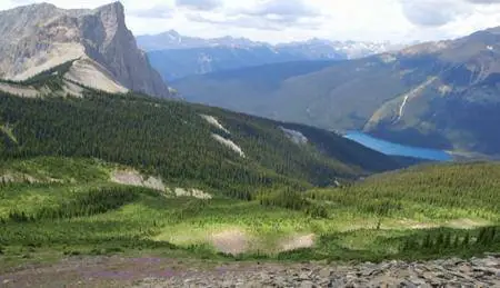 BBC - Fossil Wonderlands: Nature's Hidden Treasures (2014)