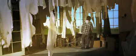 Fading of the Cries (2011)