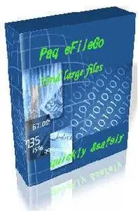 PAQ eFileGo v4.0