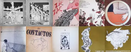 El Portafolio 5 números 