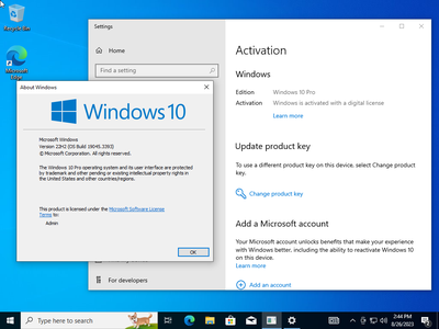 Windows 10 Pro 22H2 build 19045.3393 Preactivated (x64) Multilingual