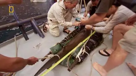 National Geographic - Hammerhead Highway (2008)