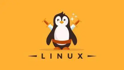 Linux Mastery: Master the Linux Command Line in 11.5 Hours