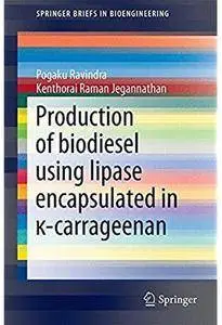 Production of biodiesel using lipase encapsulated in κ-carrageenan [Repost]
