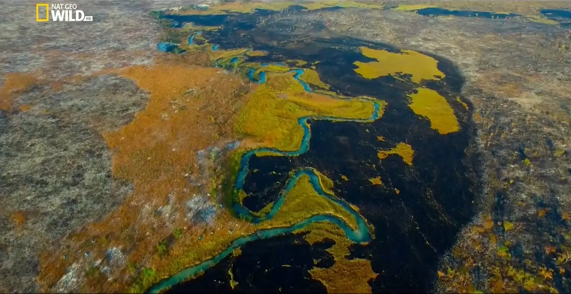 Into The Okavango (2018)