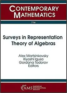 Surveys in Representation Theory of Algebras