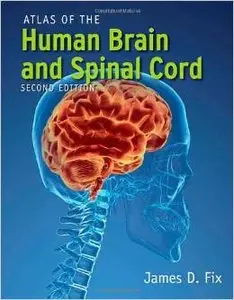 Atlas Of The Human Brain And Spinal Cord by James Fix 