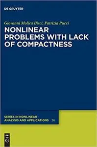 Nonlinear Problems with Lack of Compactness