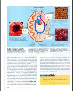 Biology, 7th Edition by Neil A. Campbell, Jane B. Reece