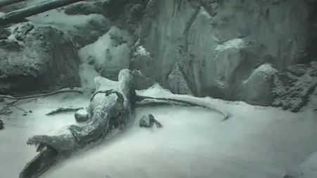 Dinotasia (2012)