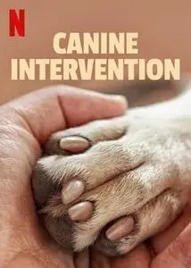 Canine Intervention S01E02