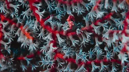 A World of Calm S01E01