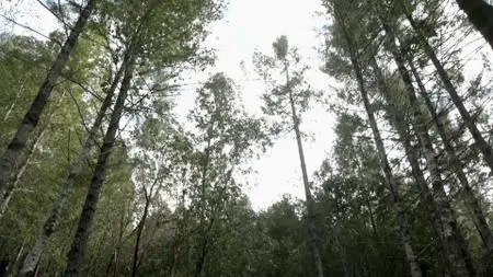 Murder Mountain S01E04
