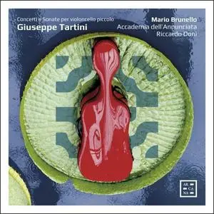 Mario Brunello - Tartini - Concerti e Sonate per Violoncello Piccolo (2020) [Official Digital Download 24/96]
