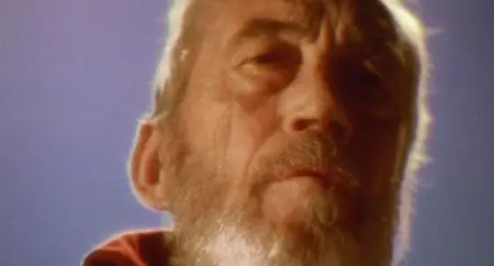 Stridulum / The Visitor (1979)