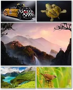 HD Wallpapers Pack 336