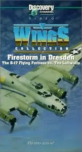 Firestorm in Dresden - The Bloody 100th Bomb Group