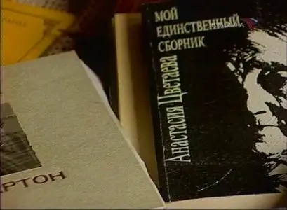 Последний день Анастасии Цветаевой